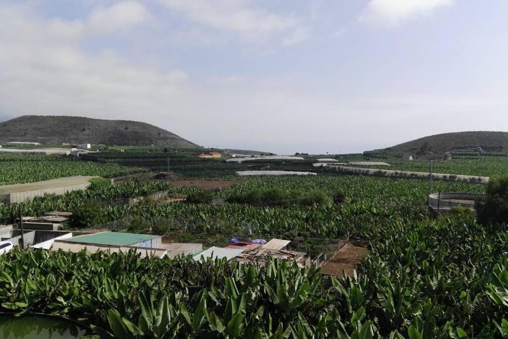 Bonito Y Amplio Piso En Los Llanos De Aridane Bagian luar foto